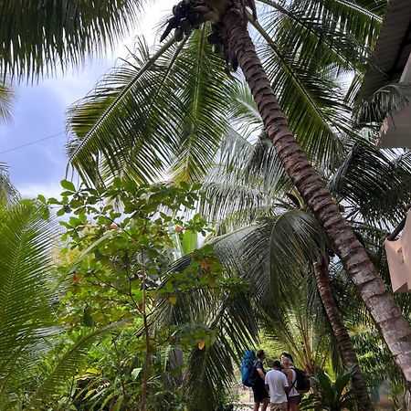 Villasiri And Leon Beach Paradise Tangalle Exterior photo